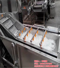 山東派菲克蔬菜噴淋清洗機(jī) 提升新疆蔬菜清洗效率的專(zhuān)業(yè)設(shè)備